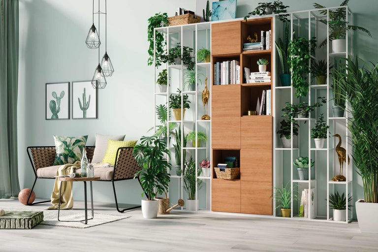 Cameră de zi cu sistem de rafturi, canapea și plante de interior pentru o atmosferă luminoasă și prietenoasă