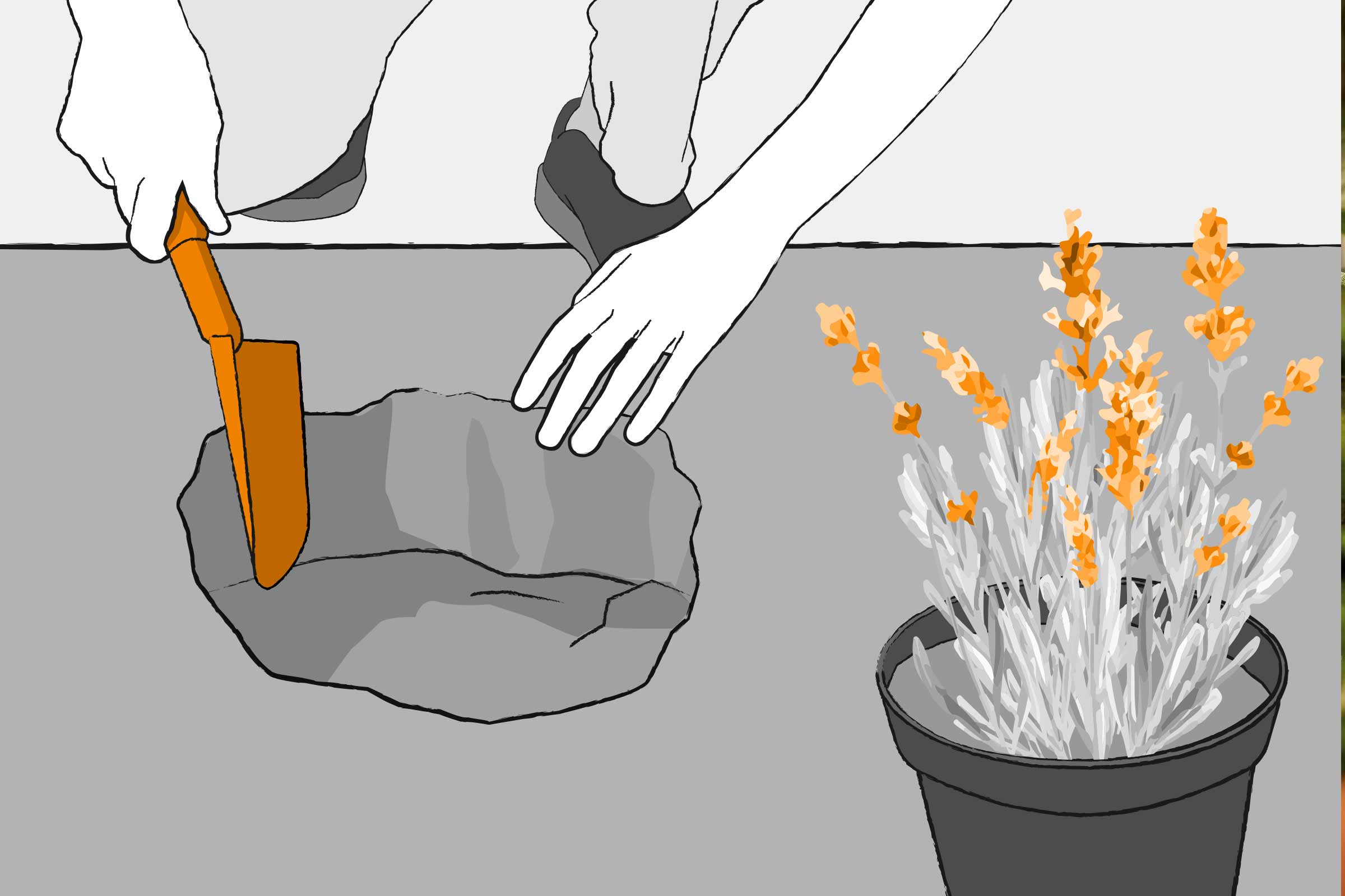 Ilustrație cu un grădinar care plantează o plantă într-o grădină de stânci