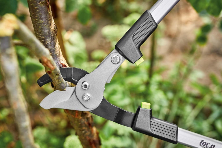 Foarfeca de crengi taie o creangă