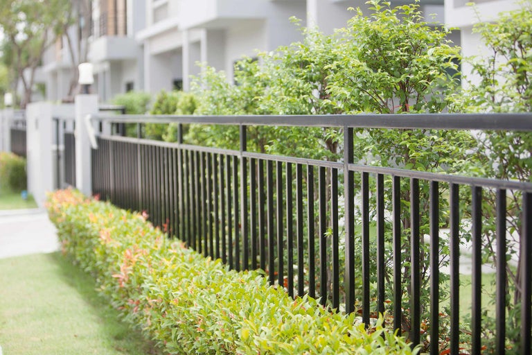 Gard metalic negru înconjurând un teren cu arbuști și copaci.