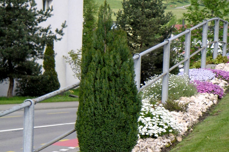 Fotografie de exterior a unei grădini cu grădină stâncoasă și diverse plante