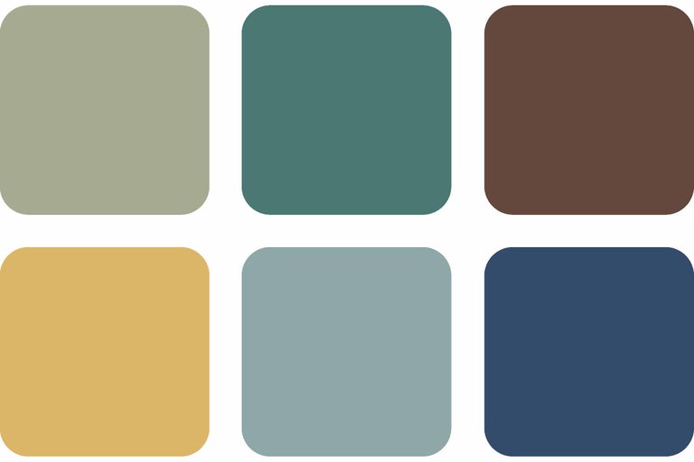 Selector de culori cu șase nuanțe diferite