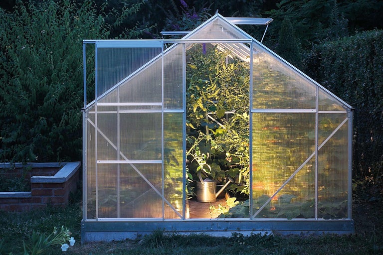 Seră cu ușa deschisă și plante în interior