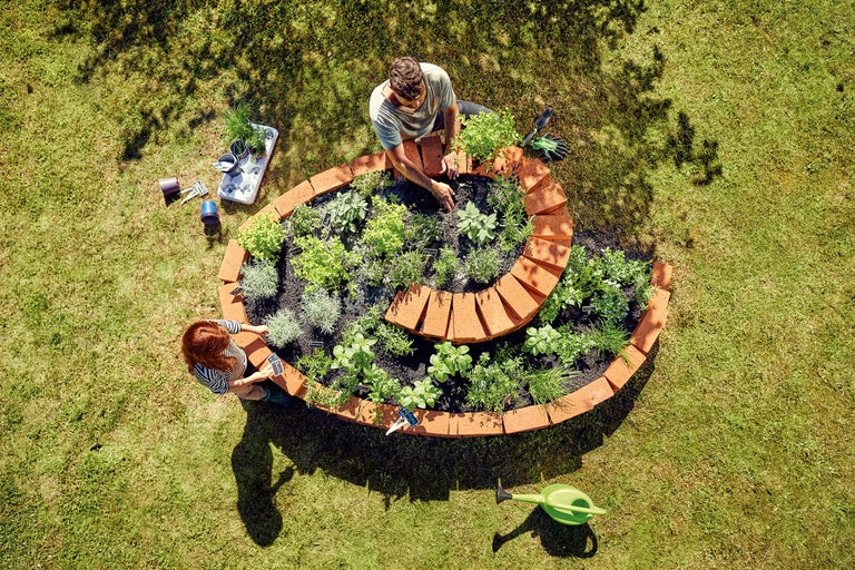 Vedere de sus a două persoane care plantează o grădină de ierburi spiralată