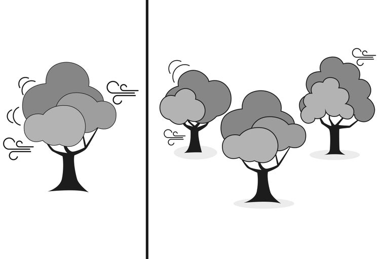 Ilustrație cu copaci în vânt