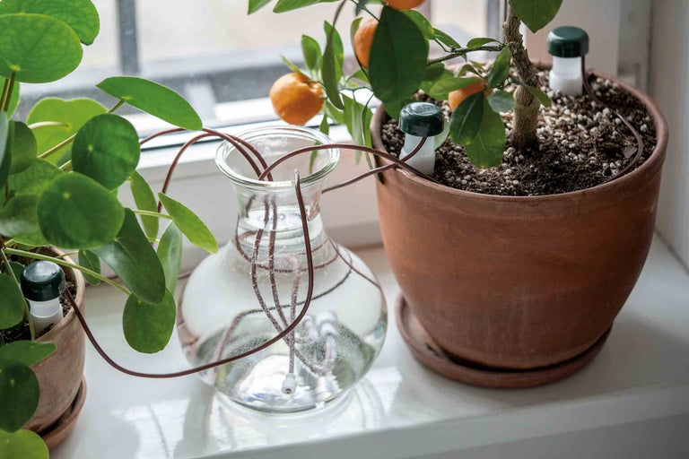 Sisteme automate de irigare pentru plante de interior pe pervazul ferestrei