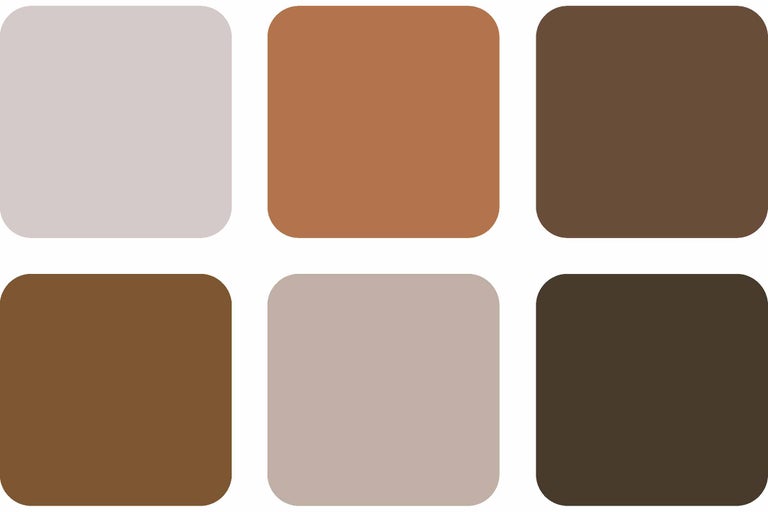 Paletă de culori cu diferite nuanțe de pământ