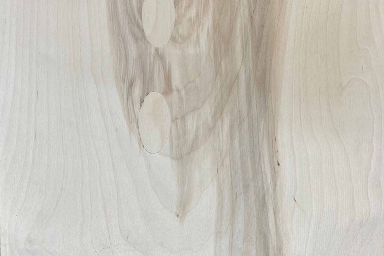 Vizualizare detaliată a unui panou din lemn furniruit