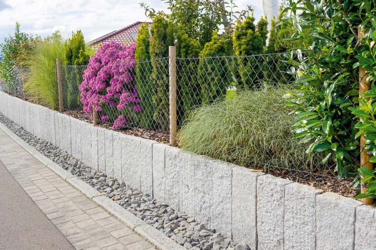 Zid de grădină cu plasă de sârmă și plante