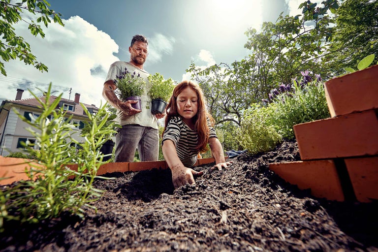 Tată și fiică plantând ierburi și pământ într-o grădină ridicată într-o grădină.