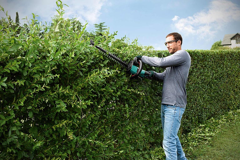 Bărbat taie gard viu cu mașina de tuns gard viu în grădină.