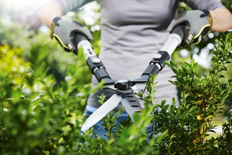 Grădinărit cu o foarfecă de gard viu pentru tăierea arbuștilor