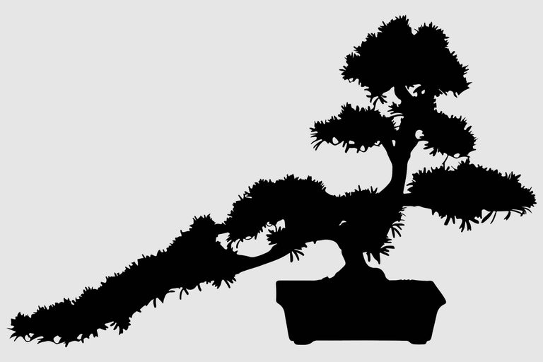 Silueta unui bonsai într-un ghiveci