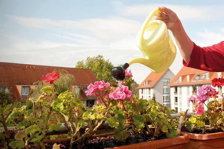 O persoană udă flori într-o jardinieră cu o stropitoare pe un balcon