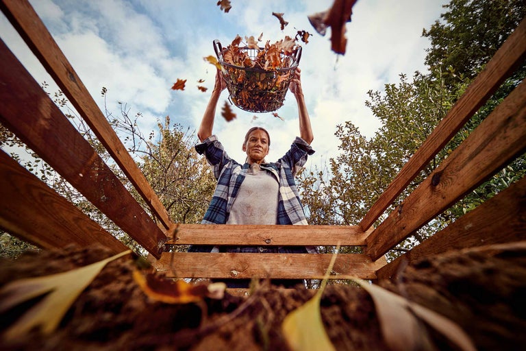 Femeie varsă coșul cu frunze într-un compostor din lemn