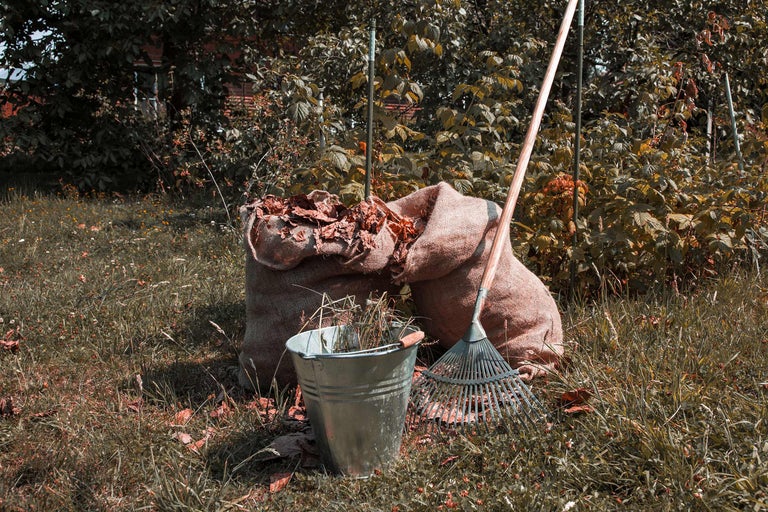 Doi saci umpluți cu frunze, o găleată metalică cu iarbă și o greblă de frunze în grădină.