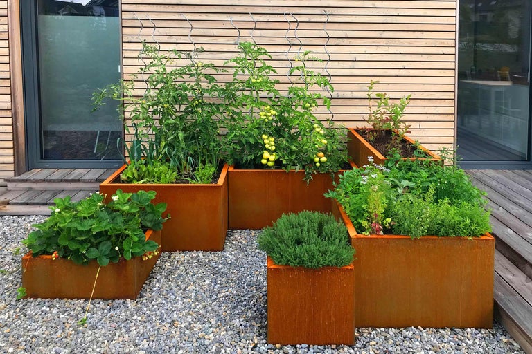 Mai multe jardiniere metalice cu diferite plante pe o potecă de pietriș în fața unui perete de lemn.