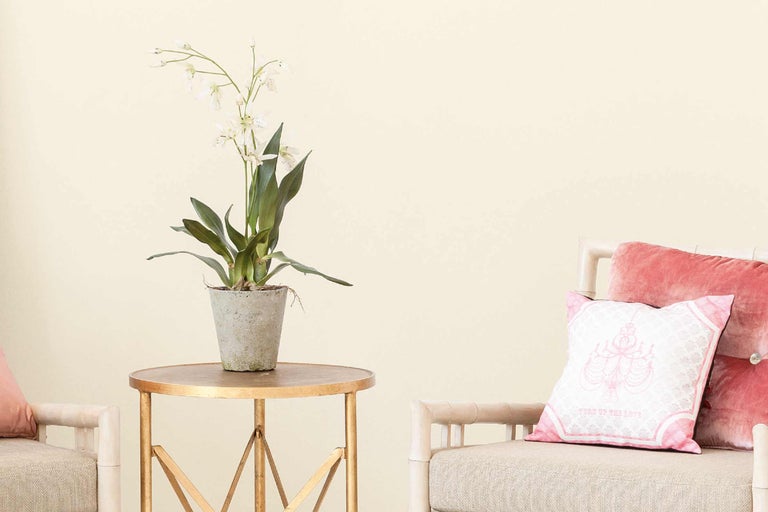 Interior decorativ cu masă, plantă de apartament și perne