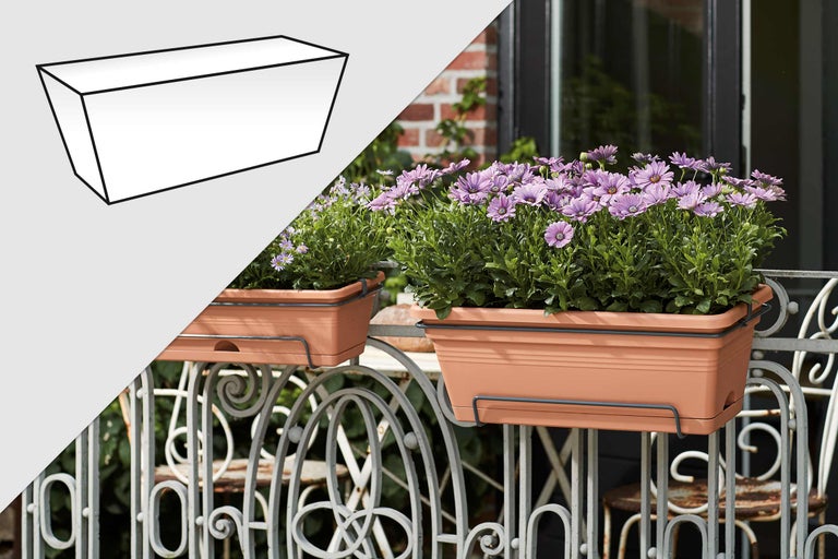 Două jardiniere de balcon dreptunghiulare, de culoarea teracotei, cu suporturi, plantate cu margarete mov pe o balustradă decorativă de balcon.