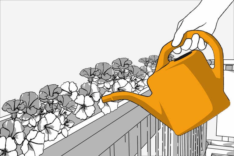 O mână udă flori într-o jardinieră cu o stropitoare.