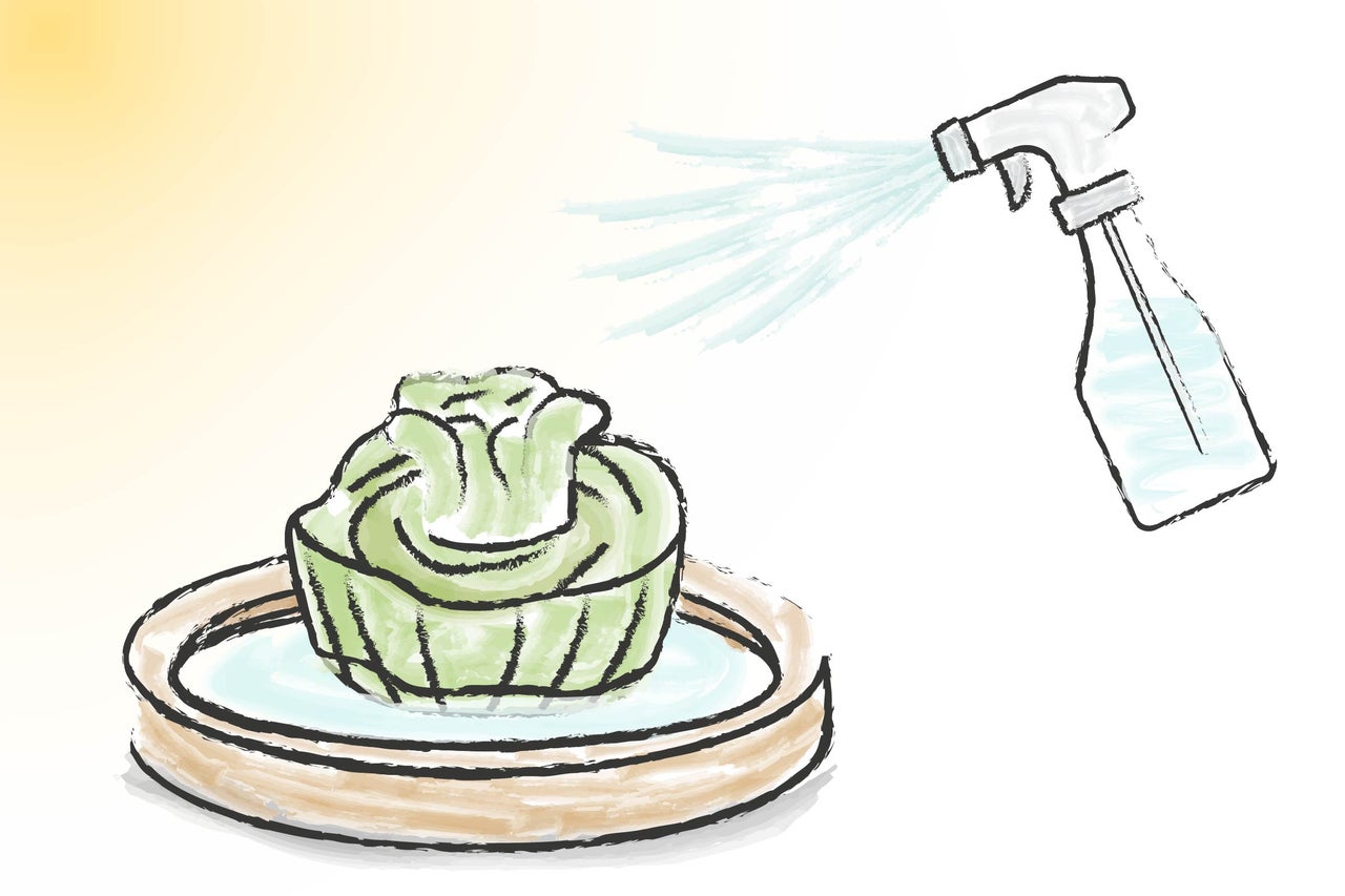 Ilustrație desenată a unei plante într-un bol, care este udată cu un flacon pulverizator.