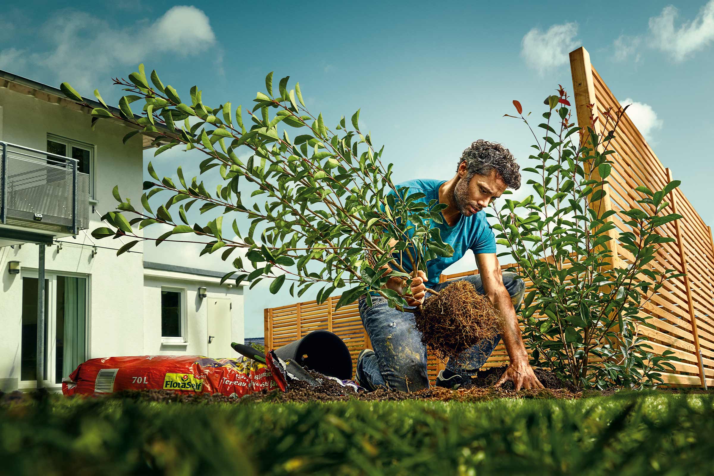 Un bărbat plantează un arbust în grădină cu pământ de plantare și un gard din lemn în fundal.