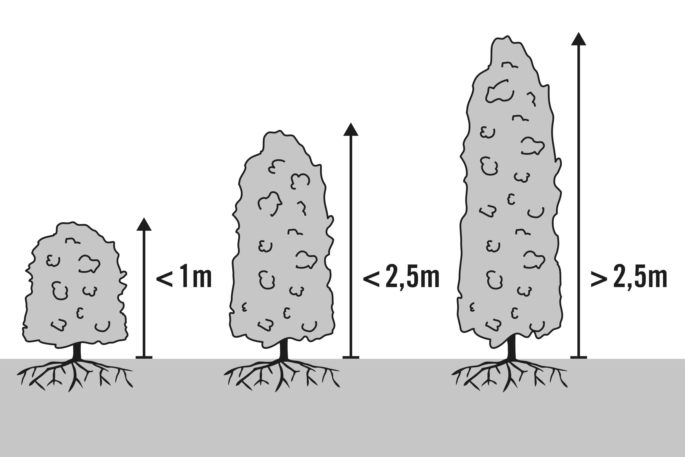 Ilustrație cu arbori de diferite dimensiuni