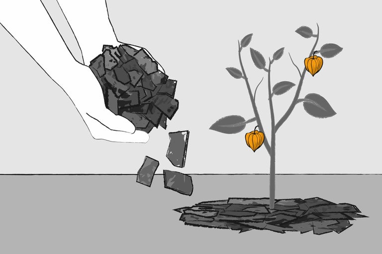 Ilustrație cu mâini așezând pietre în jurul unei plante