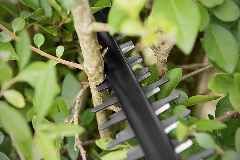 Foarfecă de tuns gard viu care taie un gard viu