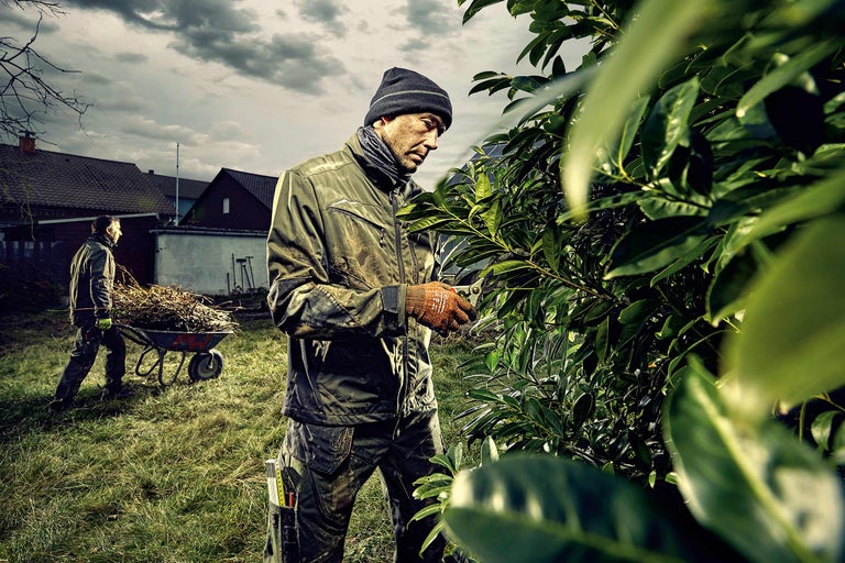 Un grădinar taie un gard viu cu o foarfecă de grădină, în timp ce un alt grădinar transportă o roabă cu deșeuri de grădină.