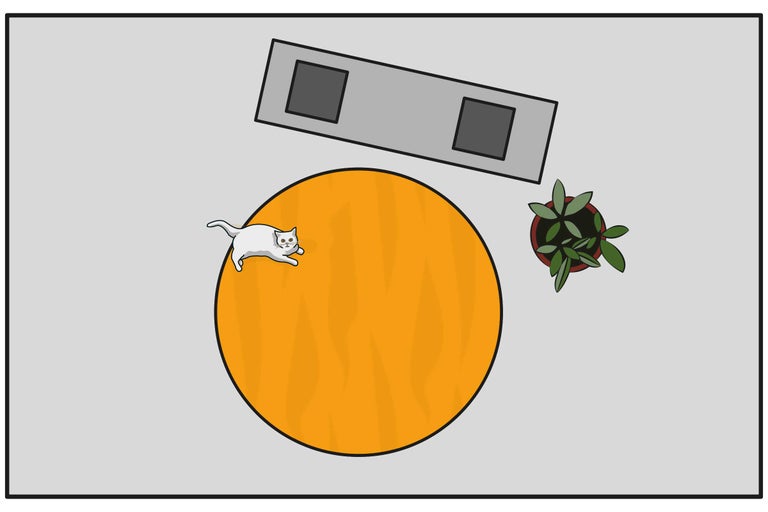 Vedere de sus a unei mese cu o plantă de interior, o tavă, un covor și o pisică