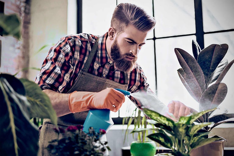 Bărbat udând plante de interior cu un pulverizator într-o cameră luminoasă