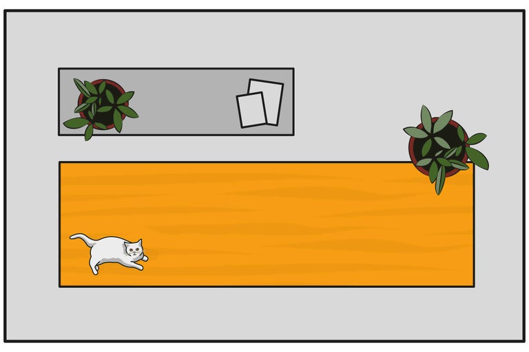 Vedere de sus a unei camere cu podea de lemn, plante, măsuță laterală, tablouri și o pisică