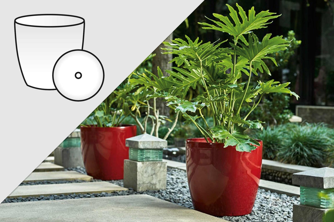 Jardiniere decorativă cu plantă în grădină