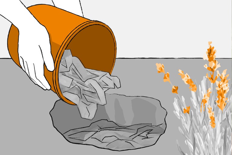 Ilustrație cu o mână care varsă hârtie mototolită dintr-un ghiveci de flori pe un disc de mulci, cu lavandă în fundal.