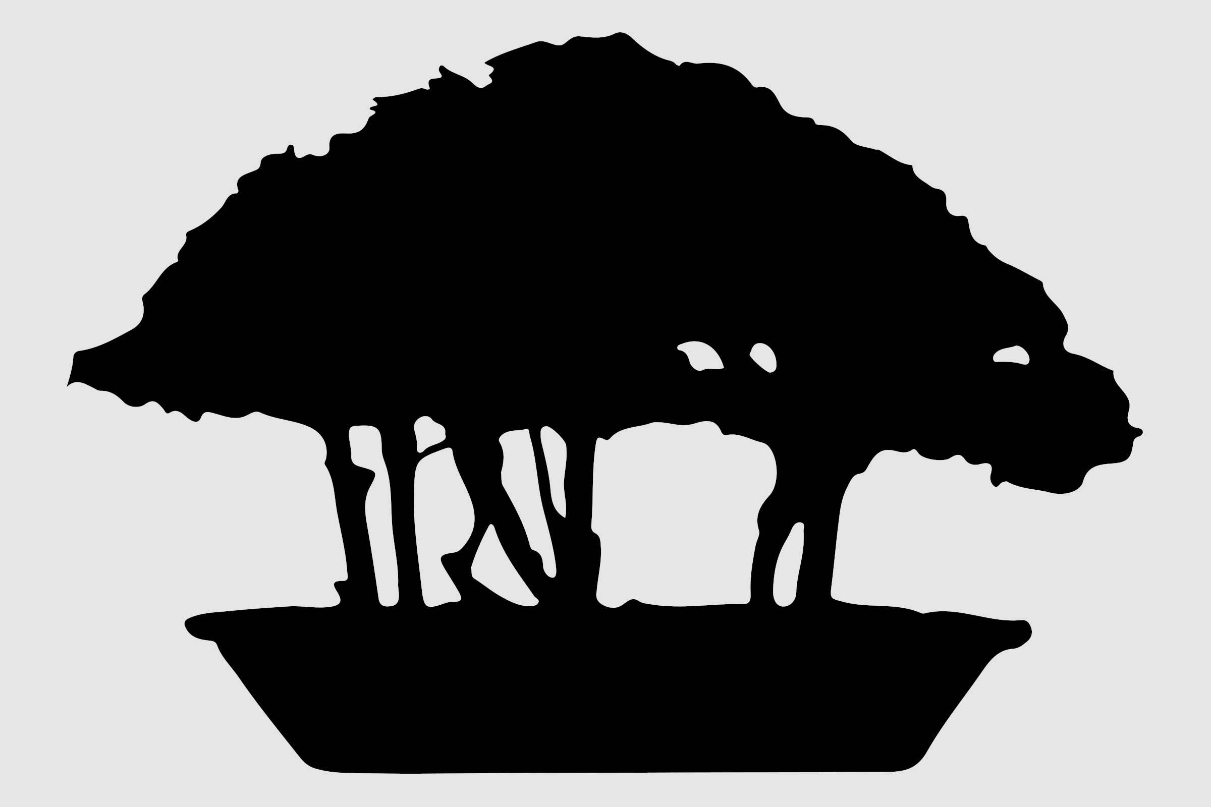 Silueta unui bonsai într-un vas