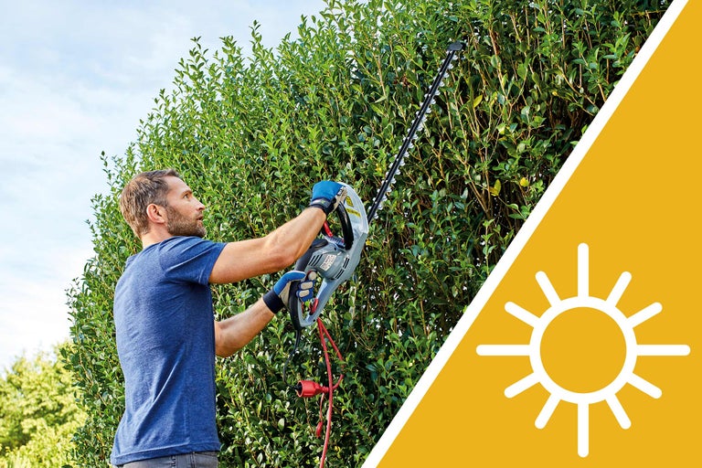 Un bărbat taie un gard viu cu o foarfecă de tuns gardul viu.