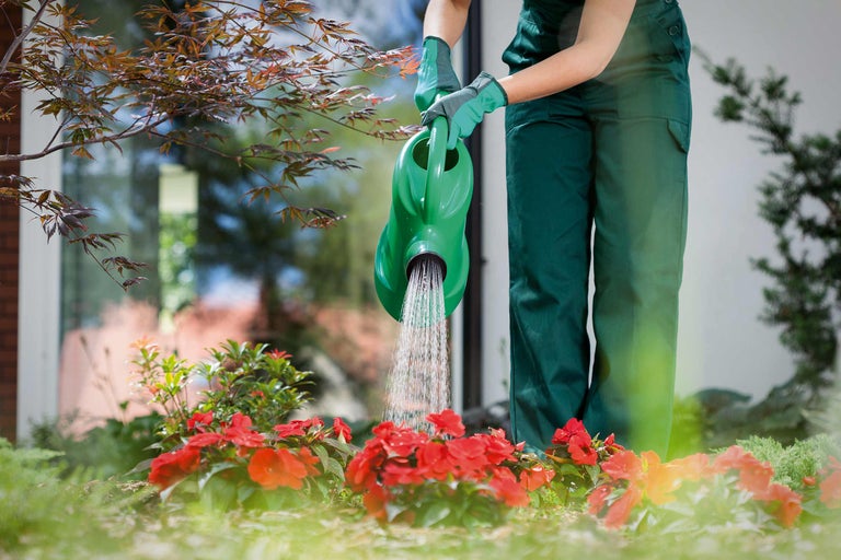 Grădinărit cu stropitoare pentru udarea florilor