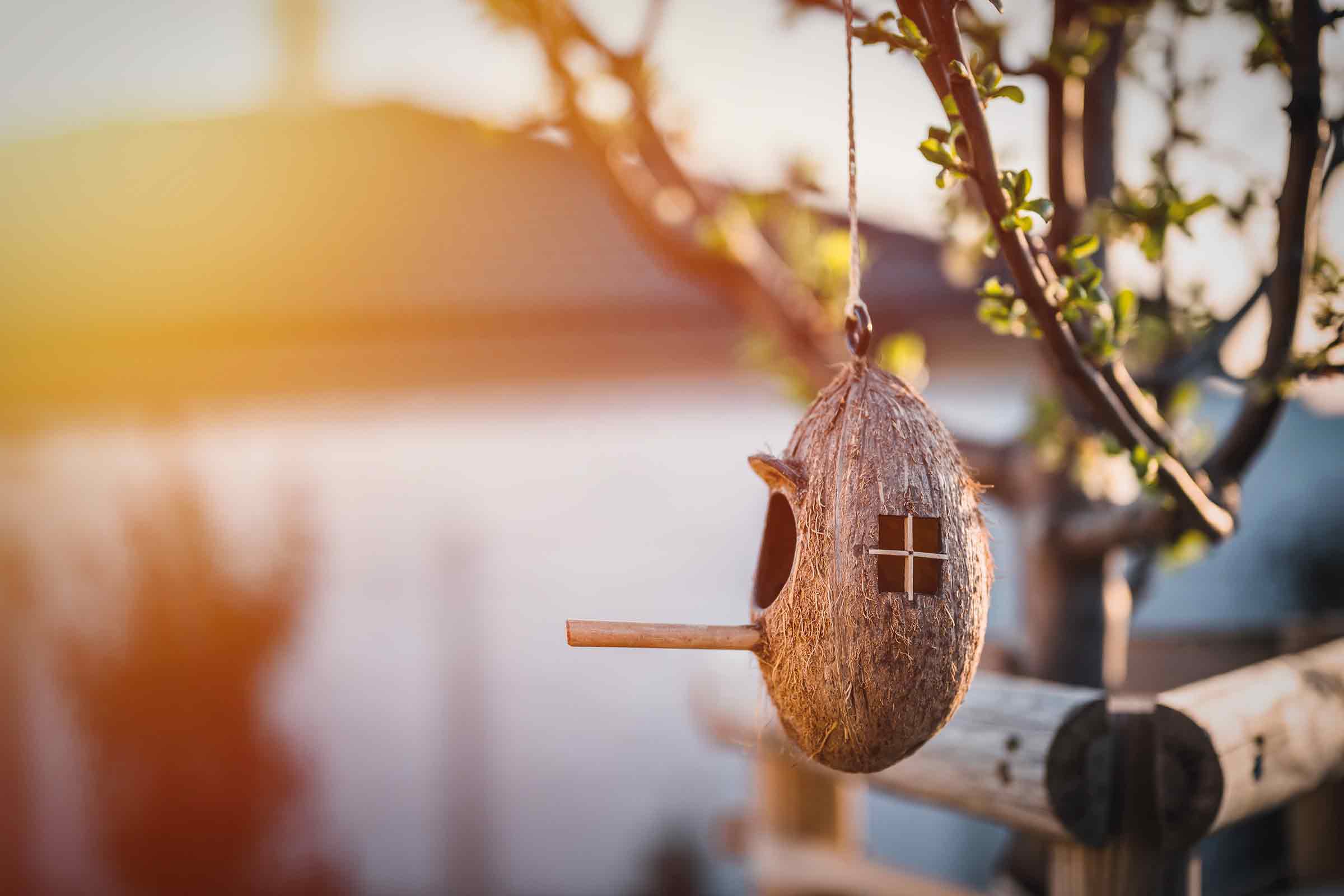 Căsuță pentru păsări din coajă de nucă de cocos cu stinghie, atârnă de un copac