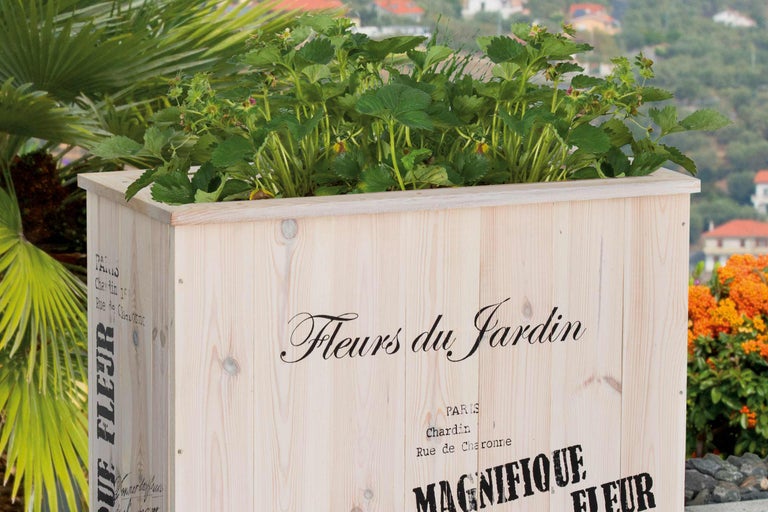 Jardinieră din lemn cu plante și imprimeu