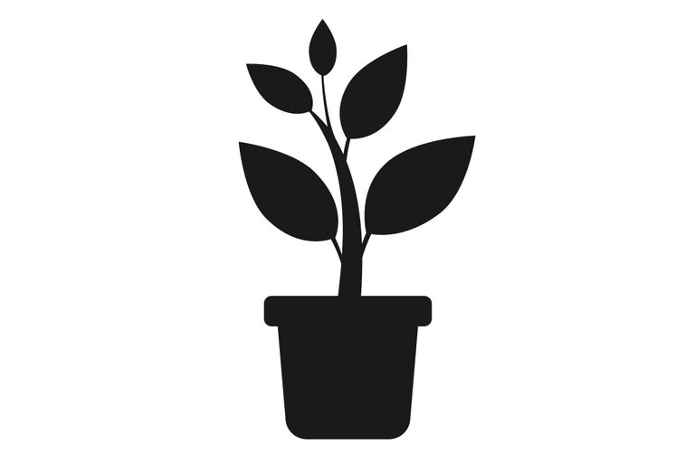 Simbol plantă în ghiveci