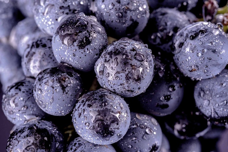 Prim-plan cu struguri albaștri cu picături de apă