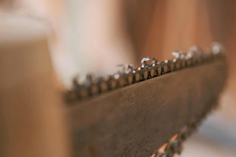 Cea mai recomandată drujbă electrică