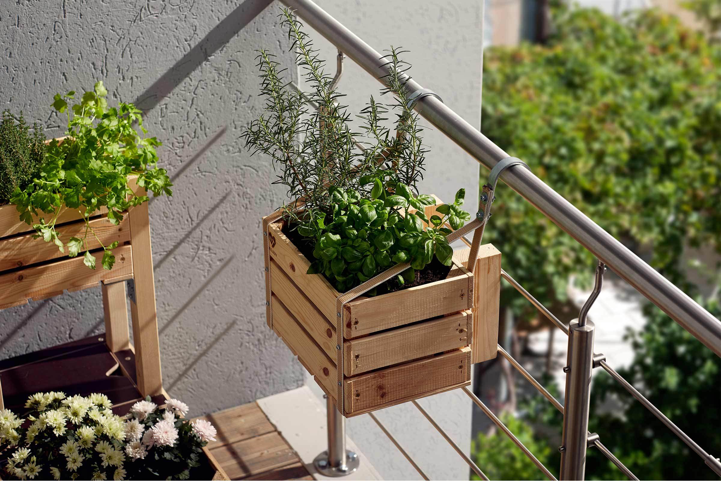Scenă de balcon cu cutii din lemn plantate cu busuioc, rozmarin, pătrunjel și cimbru