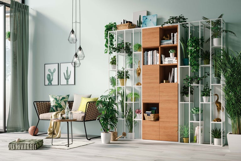 Cameră de zi cu canapea, masă și raft plin cu plante și decor