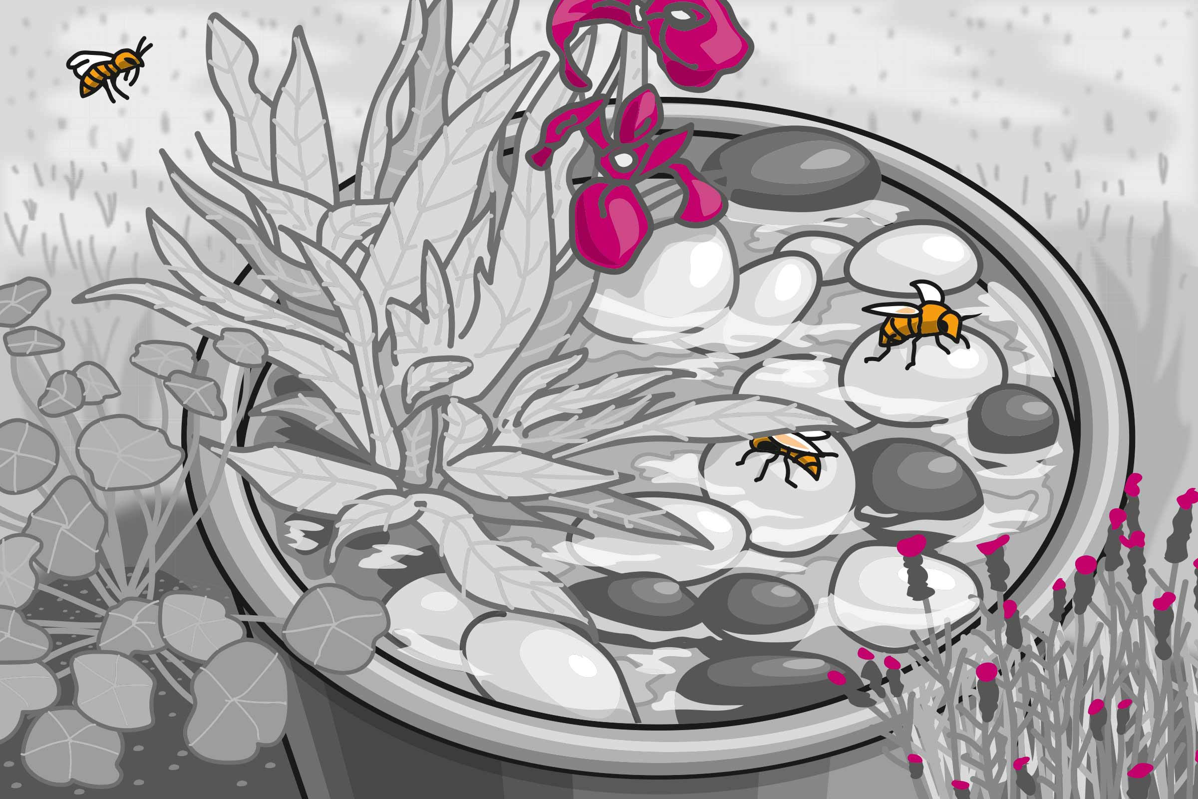 Ilustrație a unui ghiveci de flori cu plante, pietre și albine