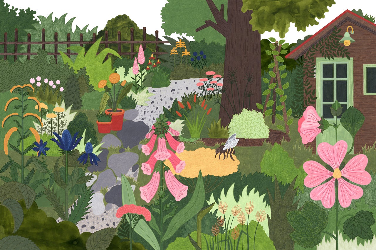 Ilustrație a unei grădini cu flori, plante și o căsuță de grădină