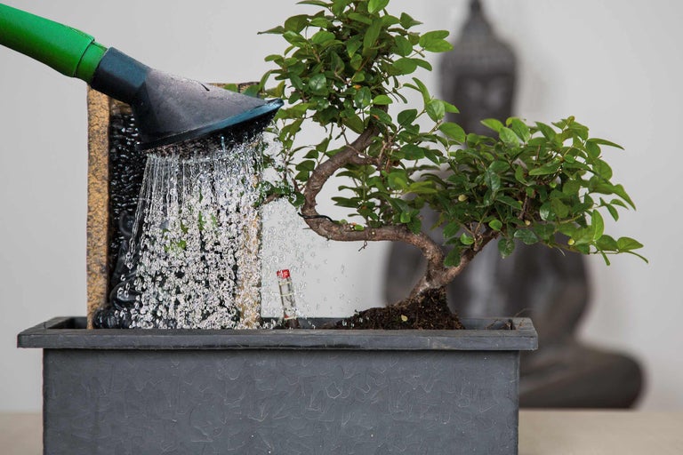 Fântână de interior cu bonsai și stropitoare