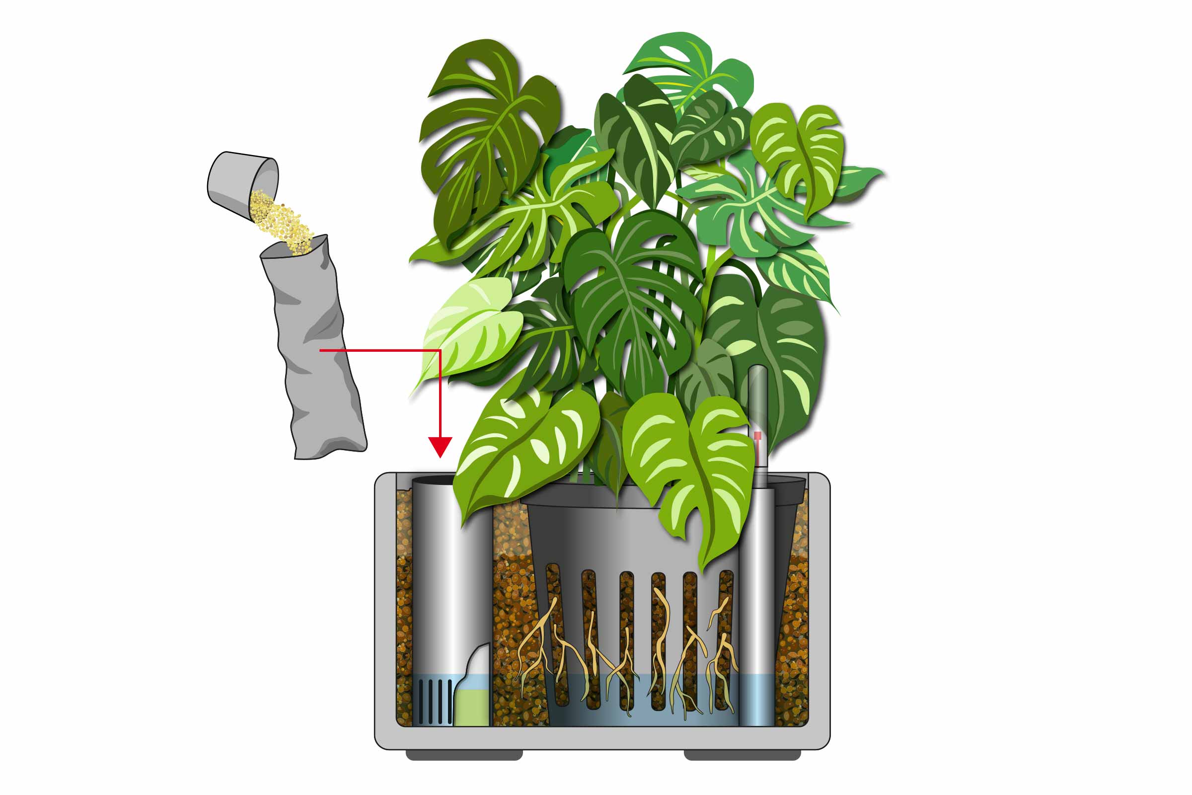 Ilustrație cu o plantă de apartament într-un sistem hidroponic cu argilă expandată