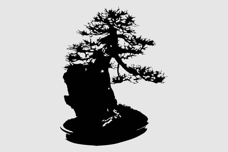 Silueta unui bonsai